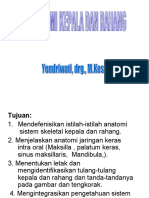 Modul 1, BO 1.2, Biologi Oral-Anatomi Kepala Dan Rahang