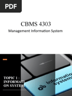 management information system