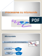 Procesarea Cu Microunde PDF