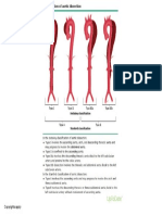 Classification of Aortic Dissection