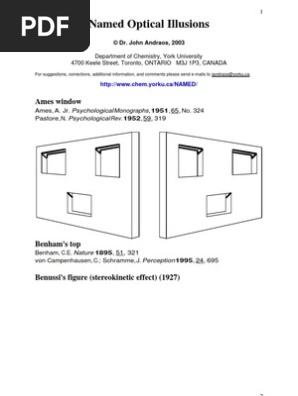 Optical Illusions