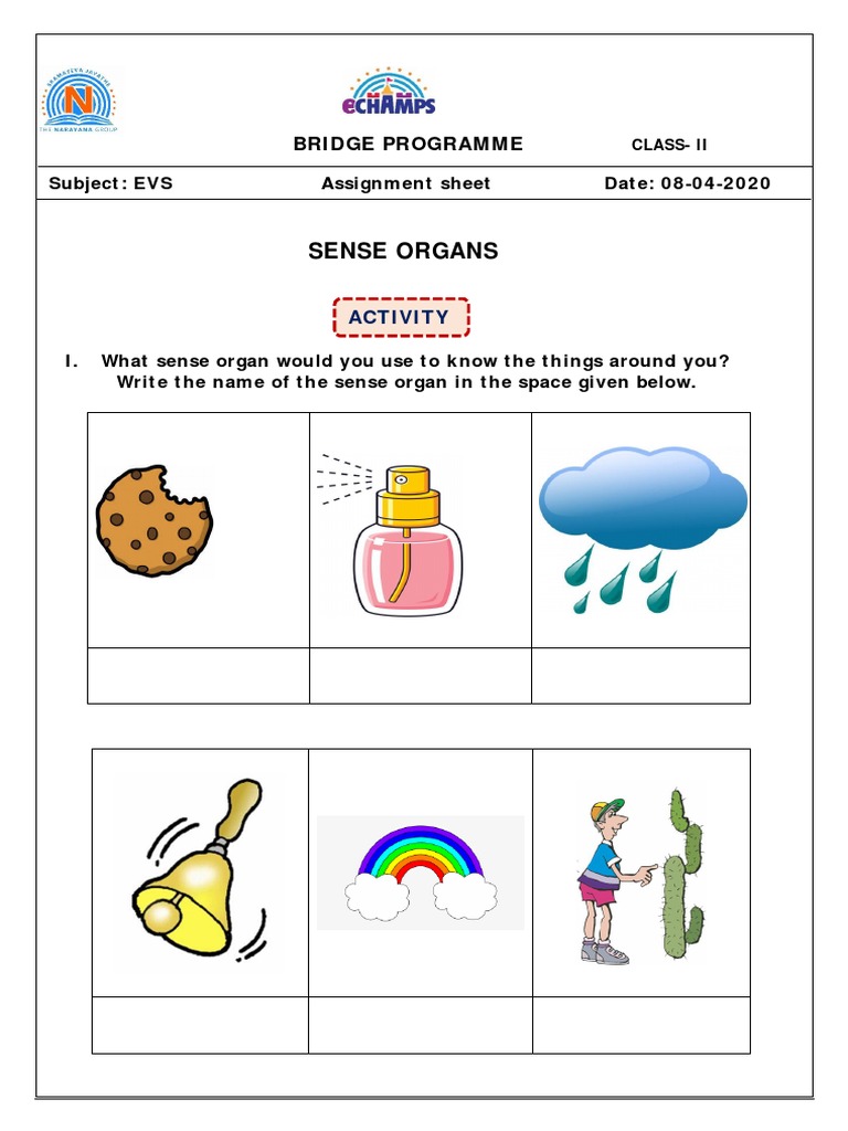 Class 2 Worksheet No PDF | PDF