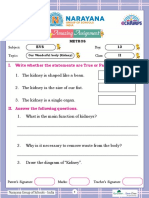 Class 2 Worksheet No PDF