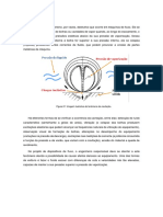 Keven Bello - Cavitação - Removed PDF