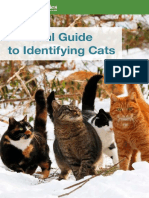 A Visual Guide To Identifying Cats