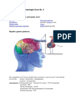 Nursing in Endocrinologie Curs 2