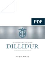 Dillidur Technical Information 2007 PDF