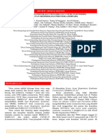 Kompendium Diagnostik Dan Pengobatan Covid-19 PDF
