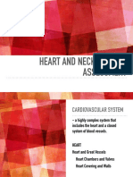 Heart and Neck Vessels Assessment