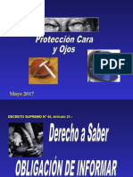 Proteccion de Cara y Ojos