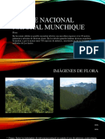 Parque Nacional Natural Munchique