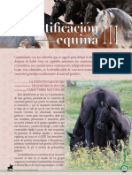Dialnet IdentificacionEquinaIII 5997839 PDF