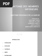 Download ANATOMIE DES MEMBRES INFERIEURS HANCHE by Cayenne Mengue SN47989634 doc pdf