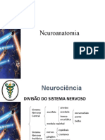 Revisao Neuroanatomia