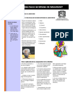 Como Hacer Un Informe de Laboratorio PDF