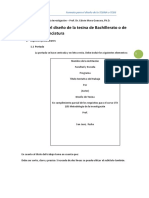 El Diseno de La Tesina Metodologia