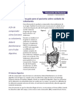 Cuidados de Colostomia PDF