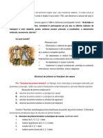 Curs 2 Ce Este Turismul PDF