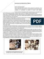 El Papel de La Mujer en Situaciones de Catástrofe en México PDF