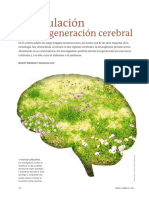 03 Estimulacion de La Regeracion Cerbral PDF