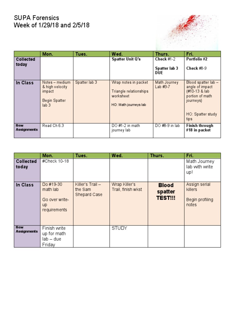 A Supa Homework For Website (1) 6 | PDF