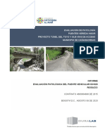 Informe Evaluación Patalógica Puente K0 M920 - Riosucio