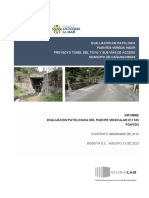 Informe Evaluación Patalógica Puente K1+120 Pontón