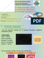 INFECCION-POR-TOXOPLASMA (1).pptx