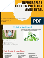 Infografías Sobre La Política Ambiental