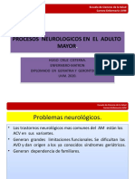 PROCESOS  NEUROLOGICOS  EN  EL  AM..pptx