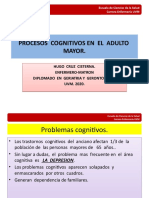 Procesos Cognitivos Del Adulto Mayor