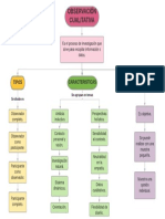 Observacion Cualitativa PDF