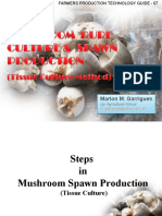 Mushroom Spawn Production (Tissue Culture)