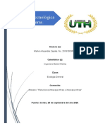 Tarea1 Glosario