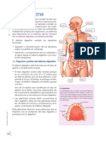 Sistemas Del Cuerpo Humano