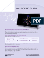 Looking Glass Maestro Info Sheet