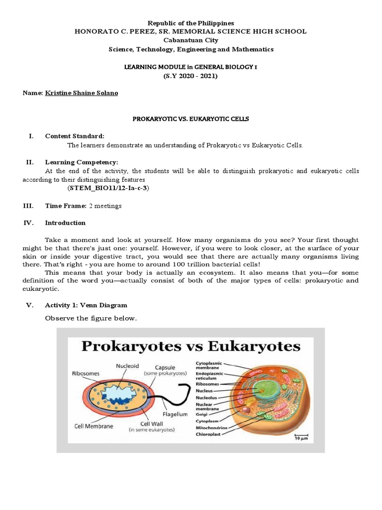 Prokaryotic vs Eukaryotic Cells Guide | PDF | Eukaryotes | Cell (Biology)
