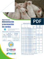 Alimentacion y Vacunacion de Cerdos
