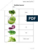 Klasifikasi Sayuran