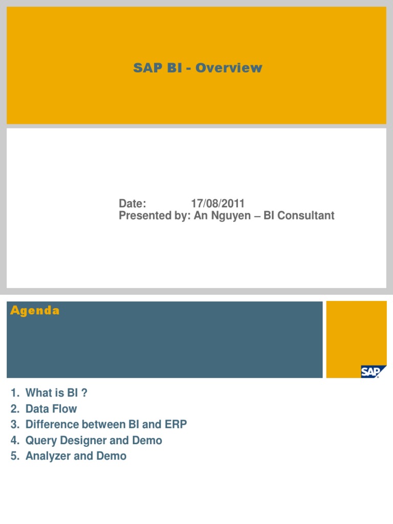 BI - Overview | PDF | Computers