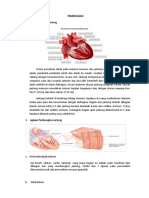 Pemfis Kardio Print