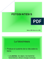 Fotosintesis