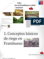 3.-Taller de Riego X Goteo en Frambuesa