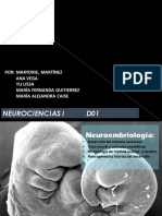 Neurociencias I