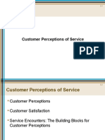 Customer Perceptions of Service: Satisfaction, Encounters and Loyalty