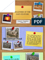 Disasters of The 21St Century: Dennyel C. Panganiban CWAL - 03
