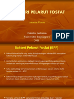 7 - Bakteri Pelarut Fosfat