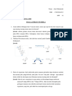 Anis Fahrunisah Tugas Soal Latihan UTS BIOLA PDF