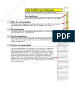 How To Use The Audit Program Manager: List The Processes/functional Areas