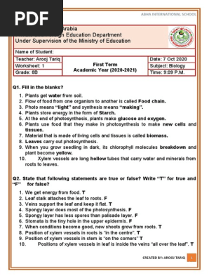 grade 8 biology worksheet no 1 2020 pdf leaf plants